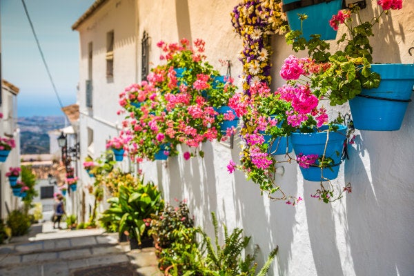  Calle con flores de Malaga Wiber rent a car