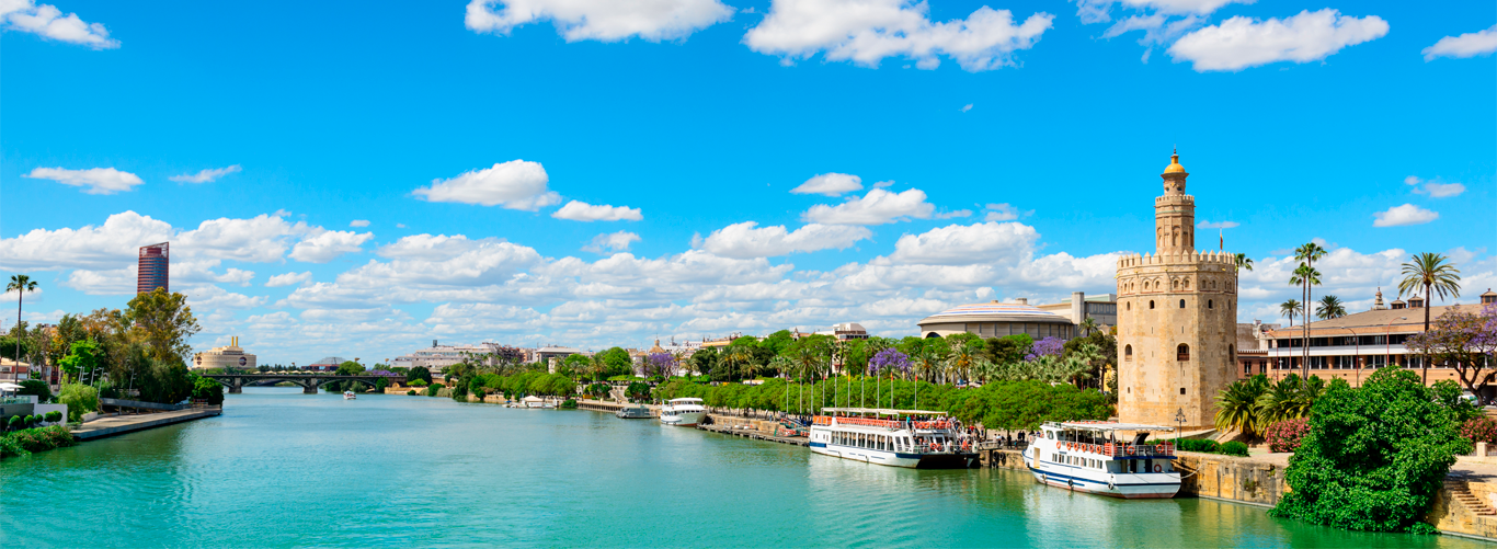 Sevilla wiber rent a car alquiler de coches