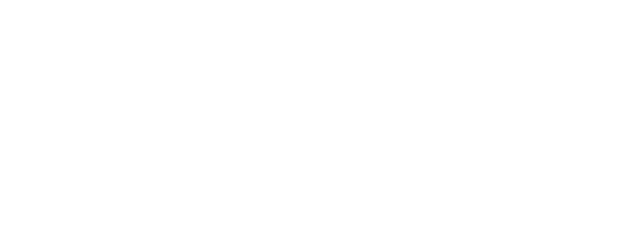 Logo Wiber Rent a Car